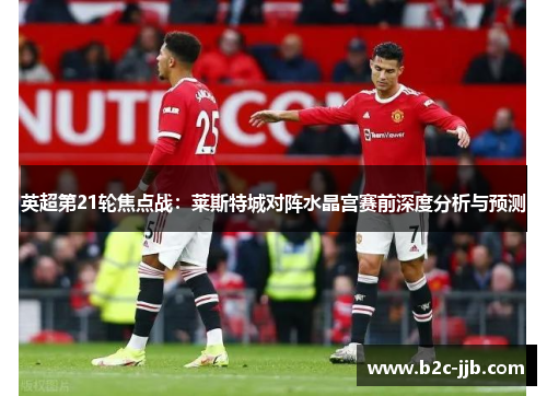 英超第21轮焦点战：莱斯特城对阵水晶宫赛前深度分析与预测
