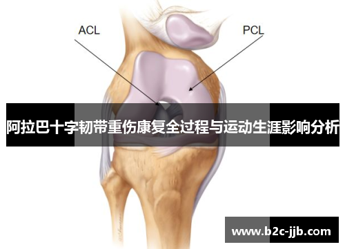 阿拉巴十字韧带重伤康复全过程与运动生涯影响分析